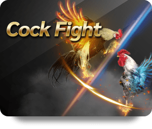 Join the Fun at Dafabet Game Bài Hot and Win Big
