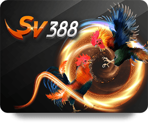 Live Betting Excitement: BK8 Bet Online Offers Thrilling Options